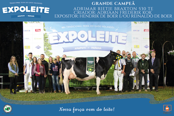 Adrimar-Rietje-Braxton-530-TE-expoleite