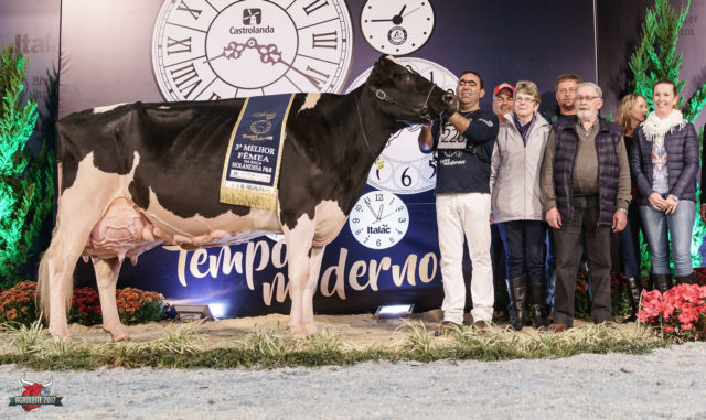 Adrimar-Rietje-Braxton-530-TE-vaca-holandesa-castroleite Adrimar-Rietje-Braxton-530-TE-vaca-holandesa-castroleite