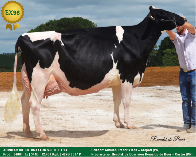 Adrimar-Rietje-Braxton-530-TE-vaca-holandesa