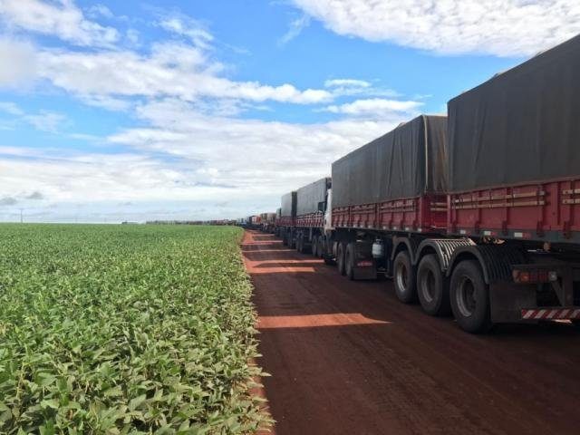 Caminhões-com-carregamento-de-milho-em-fazenda-de-Maracaju-Foto-Lucimar-Couto