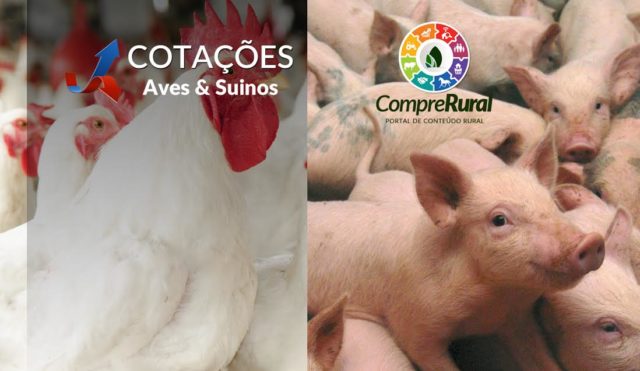 Mercado-Aves-e-suínos Mercado-Aves-e-suínos