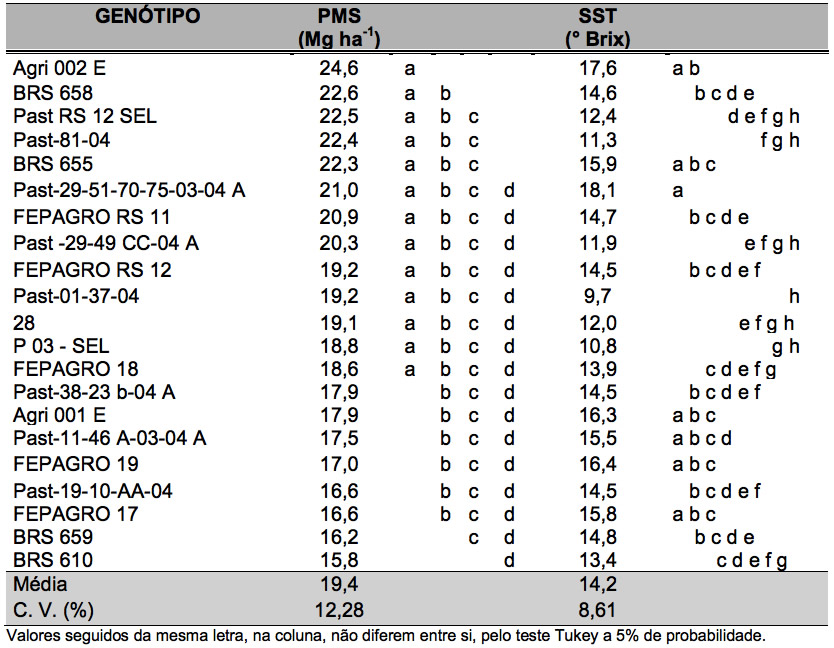 Sorgo-forrageiro-gigante-boliviano-Agri-002E-producao-de-massa-seca