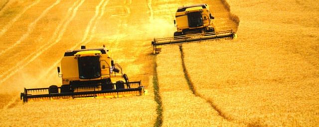 agronegocio Agro