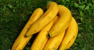 bananas-nanica