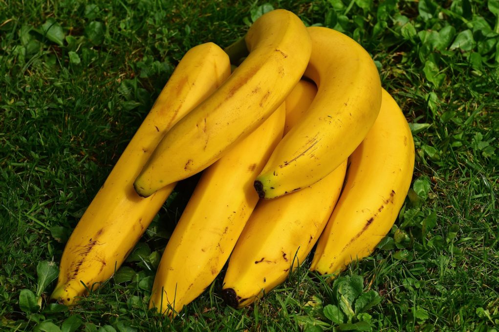 bananas-nanica