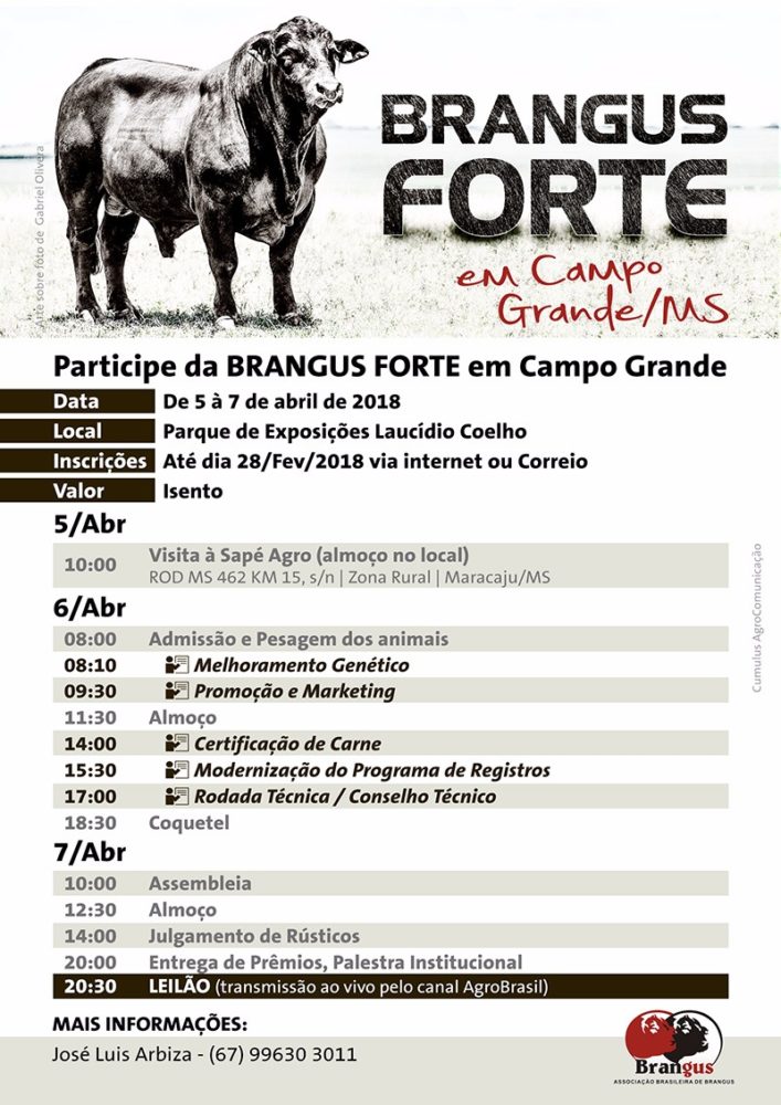 brangus-forte