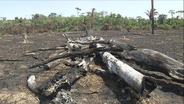 capa-amazonia