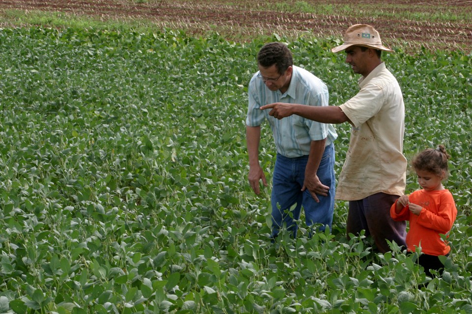 capa-conhecimento-ao-campo