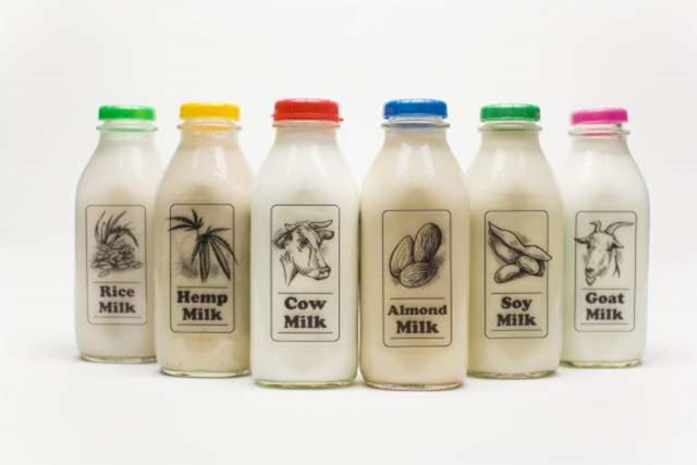 capa-leite-vegetal leite nao vegetal