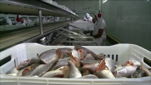 capa-pescado-exportação