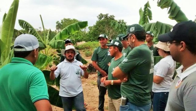 curso_tecnico_em_agronegocio_gratis_senar