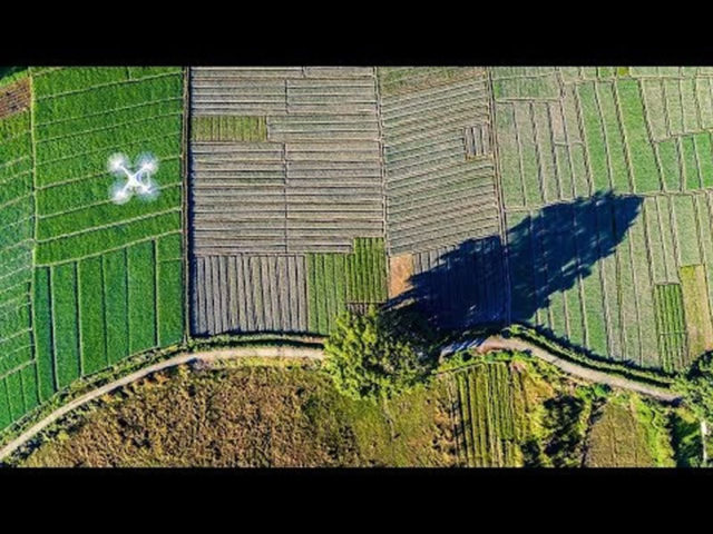 e-agriculture e-agriculture