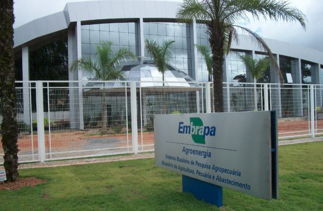 embrapa-agroenergia embrapa-agroenergia