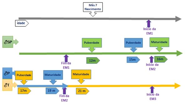 grafico-importancia-precocidade-sexual-em-machos-1