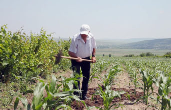 trabalhador-rural-lavoura