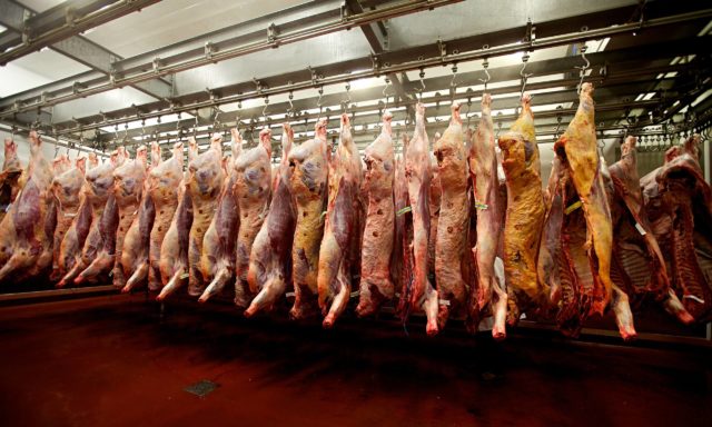 Exportação-de-carne