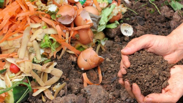 capa-compostagem-em-casa