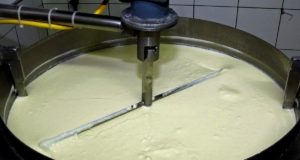 capa-prejuizo-na-produção-de-leite