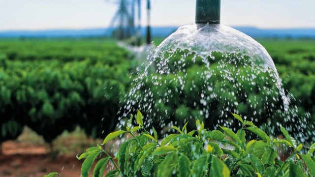 Encontro discute agricultura e pecuária no Nordeste