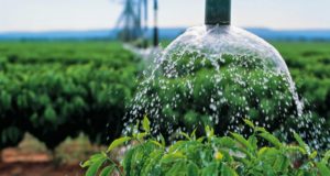 capa-qualidade-da-agua-na-irrigação