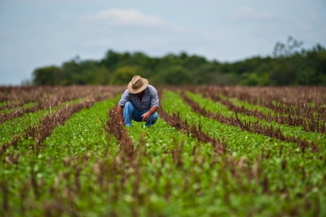 capa-trabalho-no-campo