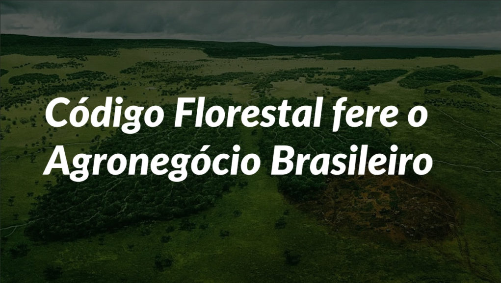 codigo-florestal-fere-o-agronegocio