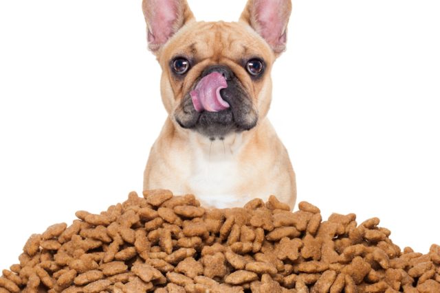fonte-pets-emprego