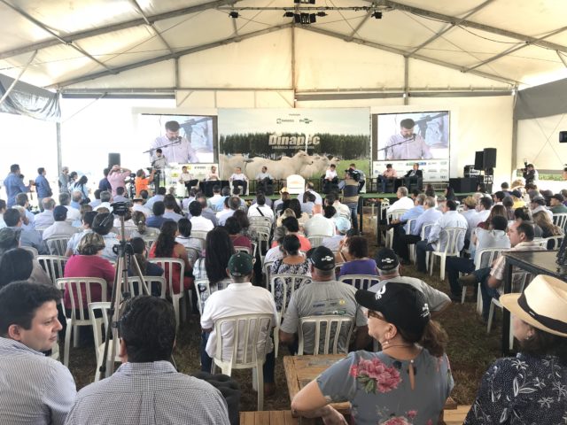 13-dinapec-2018-embrapa-gado-de-corte-2 13-dinapec-2018-embrapa-gado-de-corte-2