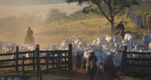 Primeiro-curso-de-manejo-racional-em-mangueiro