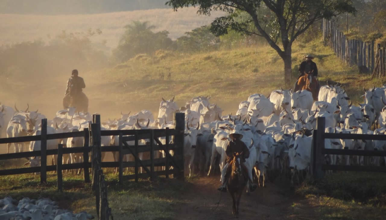 Primeiro-curso-de-manejo-racional-em-mangueiro