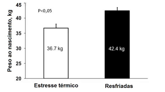 alta-grafico1