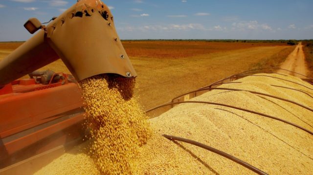 capa-brasil-lider-mundial-em-produção-de-soja capa-brasil-lider-mundial-em-produção-de-soja