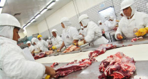 Foto: Alf Ribeiro – Linha de produção e corte de carne do Frigorífico Marfrig, em Promissão, SP