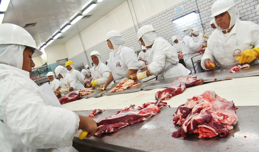 Foto: Alf Ribeiro – Linha de produção e corte de carne do Frigorífico Marfrig, em Promissão, SP