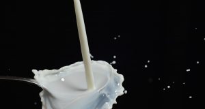 capa-exportação-de-leite