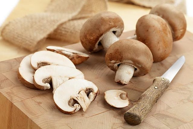 cogumelos-shitake cogumelos-shitake