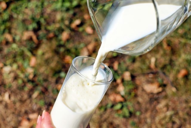 glass_milk_white_cow_s_milk_pour_a_drink-548413 milk glass