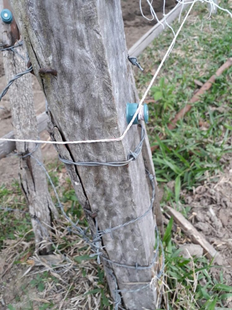 instalacoes-erradas-de-cerca-eletrica-rural