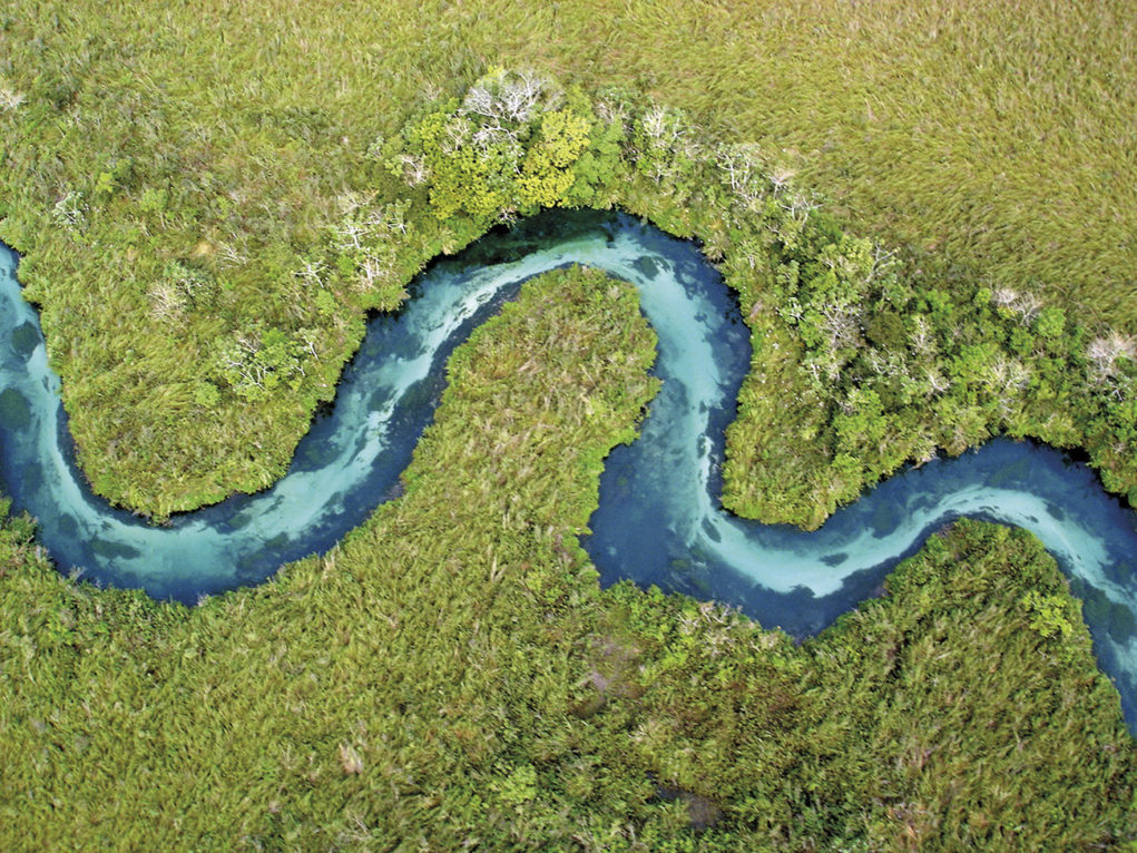 pantanal