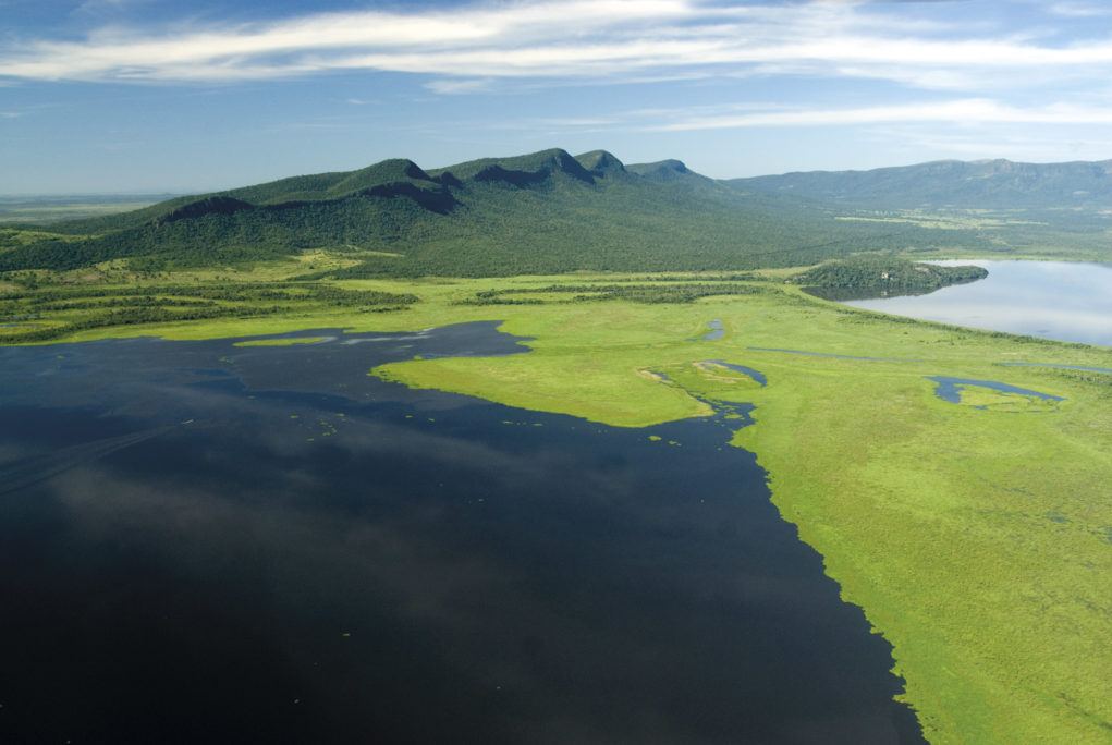 Pantanal