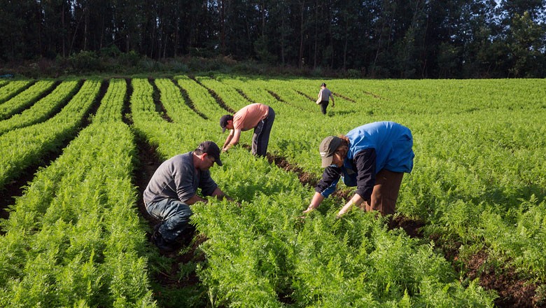 agricultura-familiar-mda-divulgacao