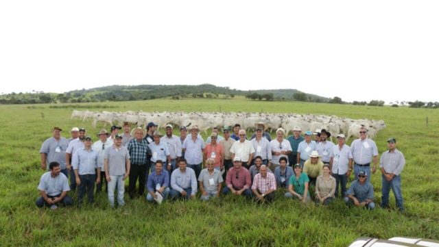 circuito_geneplus_2017_jaciara circuito_geneplus_2017_jaciara