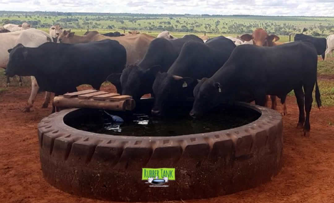 rubber-tank-bebedouros