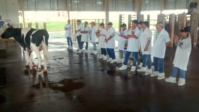 select-sires-do-brasil select-sires-do-brasil