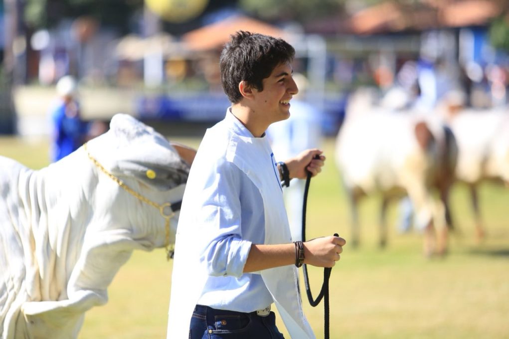 Brahman-na-ExpoZebu-grandes-campeoes