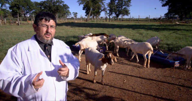 adroaldo zanella premio bem-estar animal adroaldo zanella premio bem-estar animal