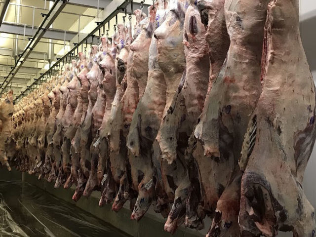 carcaça bovina tipificação carcaça bovina tipificação