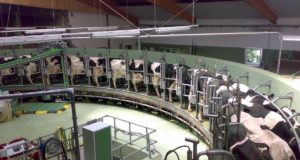 china maior fazenda leiteira