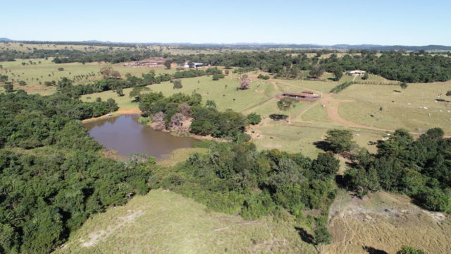 fazenda-pontal-no-goias-confinamento fazenda-pontal-no-goias-confinamento