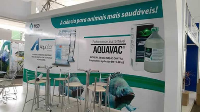 msd na aquishow msd na aquishow